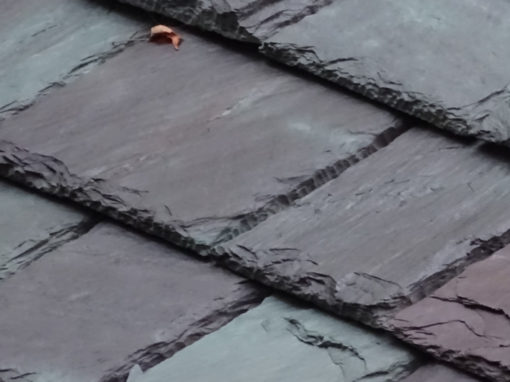 Slate roof using Non-weathering Mottled Green / Purple slate
